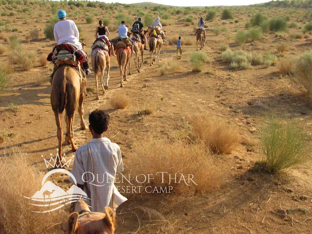 camel safari by queen of thar